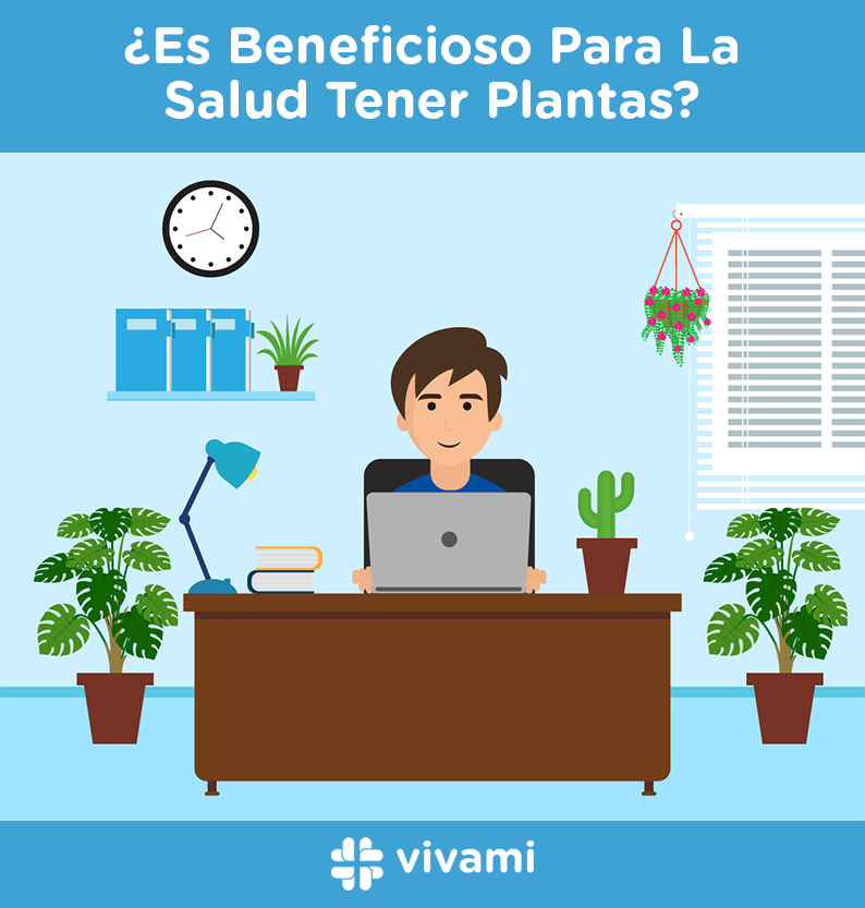 es-beneficioso-para-la-salud-tener-plantas_es